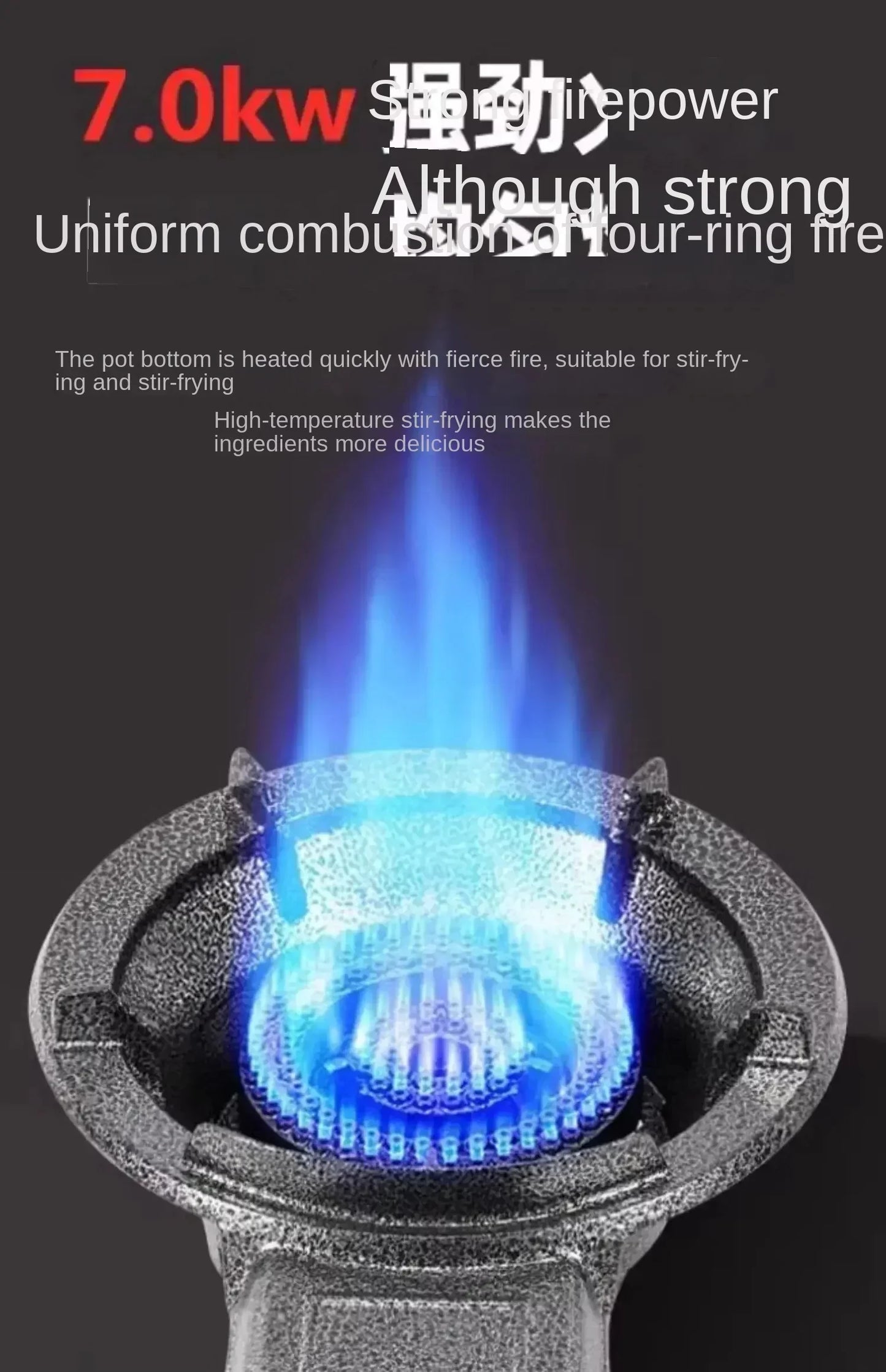 Powerful Gas Stove for Home and Commercial Cooking - Compatible with Natural Gas and LPG AD
