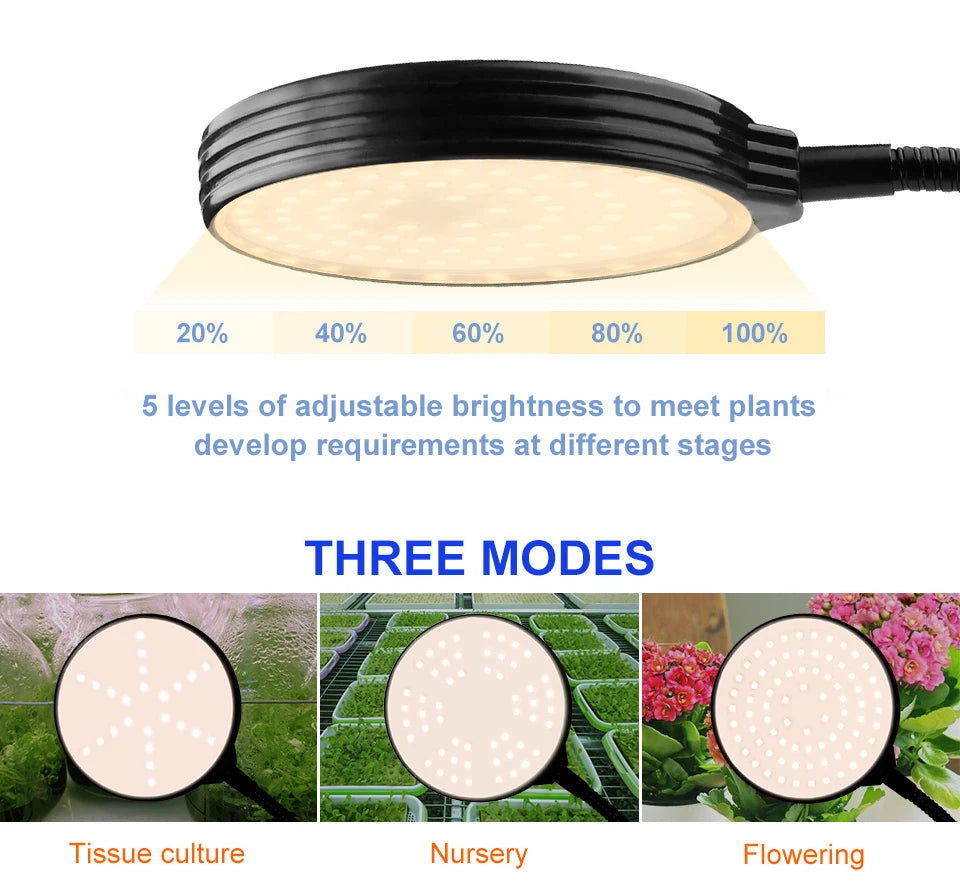 Full Spectrum LED Grow Light USB Plant Fill Lamp 5V Dimmable Timing Auto On/Off Indoor  Seeds Hydroponics Vegs Cultivation Lamps
