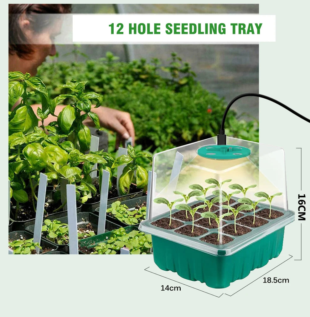 Plants Seed Starter Trays With Grow Light 12 Holes Per Tray Nursery Pots Lights For Home Plant Greenhouse Growing Trays