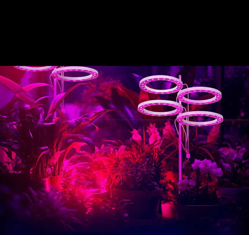 LED Grow Light Full Spectrum with UV IR Angel Ring Phytolamp DC5V USB for Indoor Grow Tent Planting