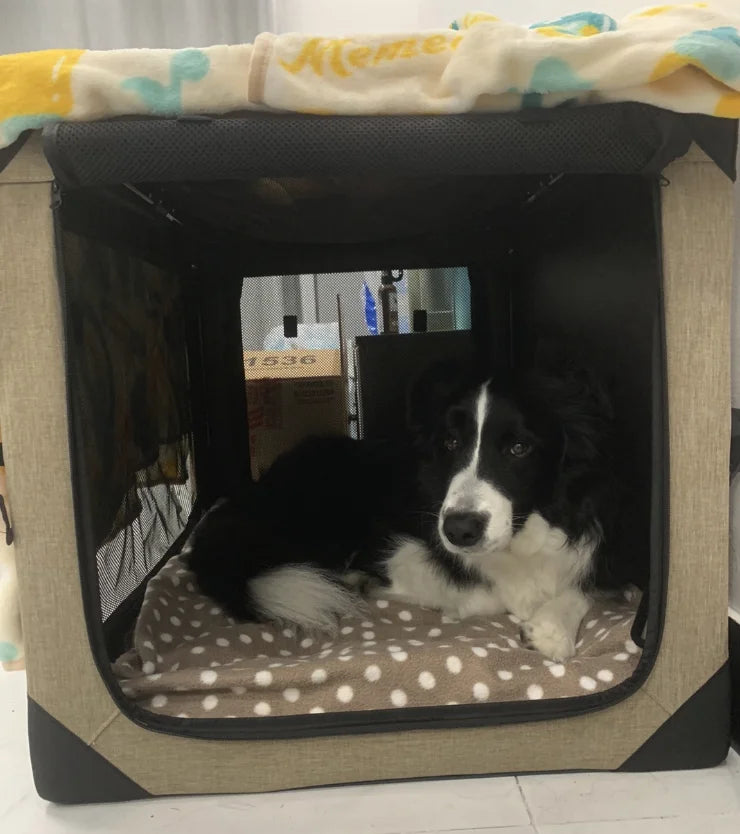 Dog Crate Travel Foldable Pet Crate for Puppy/Small Dog 18 Lbs Soft Cat Carrier Fit for Indoor & Outdoor/Car Back Seat/Trunk