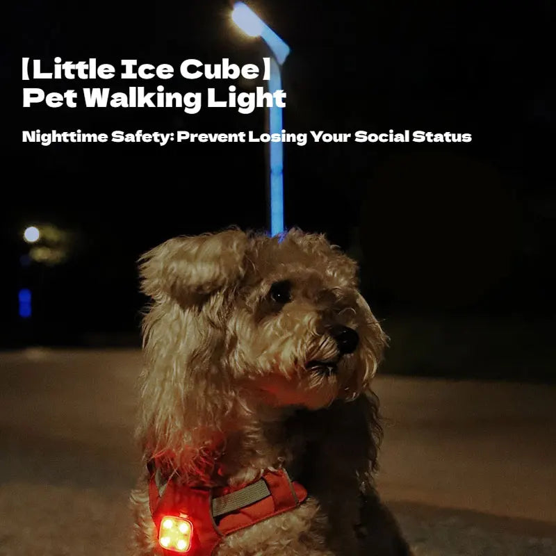 1pc Pet Luminous Pendant, Dog LED Walking Pet Cat Glowing Pendant Safety Luminous Collar Dog USB Rechargeable 3 Modes Flashlight