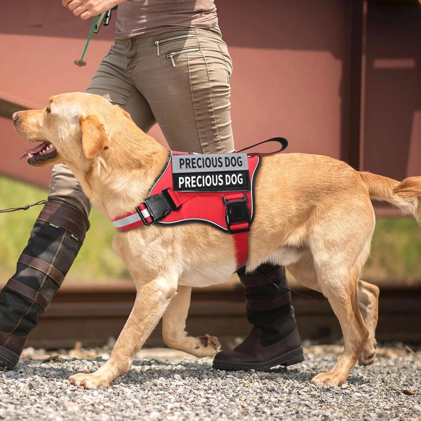Dog Harness Reflective Breathable and Adjustable No-Pull Dog Vest Harness for Small Medium Large Dogs