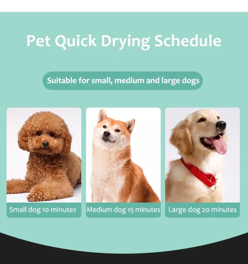 Dogs Hair Dryer Cat Grooming Water Blower Motor Warm Wind Adjustable Blow-Dryer Professional Warm Wind Secador Hot Wind Heater