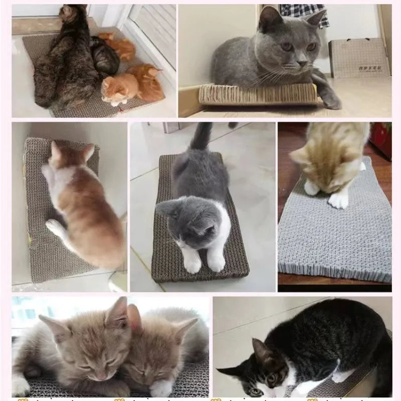 Pet Cat Scratching Corrugated Board Grinding Claw Plate+Catnip Paper Pad Climbing Frame Scraper Mat Cat Cardboard Cat Toys