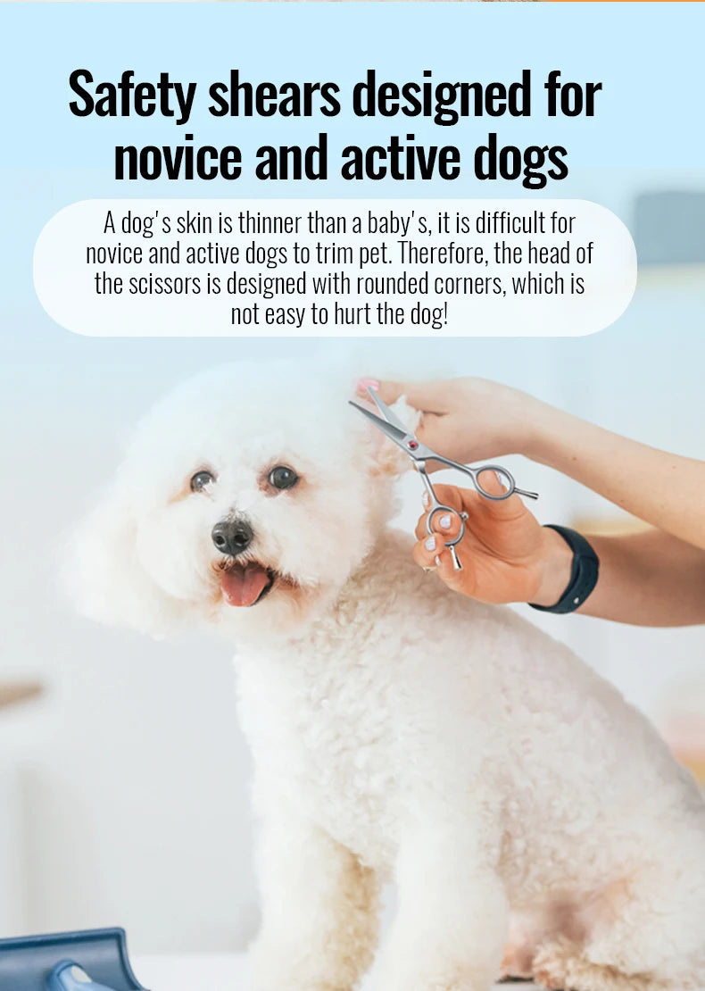 Fenice 4.5 Safety Round Tip Pet Dog Cat Grooming Cutting Scissors Dogs Hair Cutting Shear for Eyes/Face/Foot/Nose