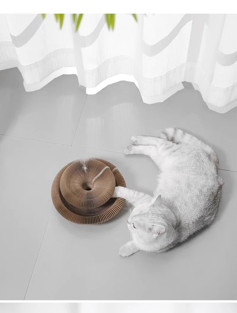 Magic Accordion Cat Scratching Board Nest,wear-resistant And Lint-free,cat Toy For Self-entertainment And Nail Scratching