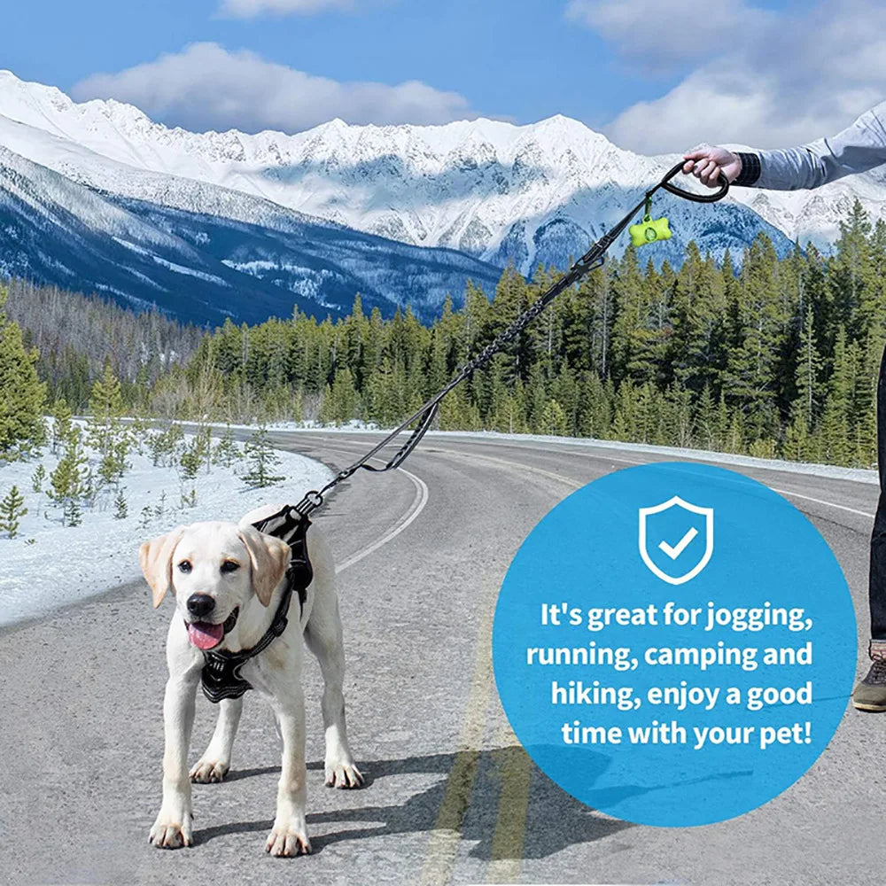 Heavy-Duty Bungee Dog Leash 4-in-1 Multifunctional Training Leash with Car Seat Belt,Dog Accessory, Dog Leash For Medium Dog