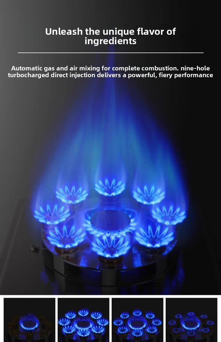 Frestec Single Burner Gas Stove for Natural Gas LPG Home Use High Power Desktop Built in Stove WWW