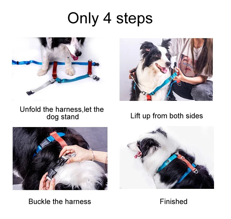 Adjustable Nylon Dog Harness Fashion Chest Vest No Pull Pet Puppy Harness for Small Medium Large Dogs Corgi Dog Supplies