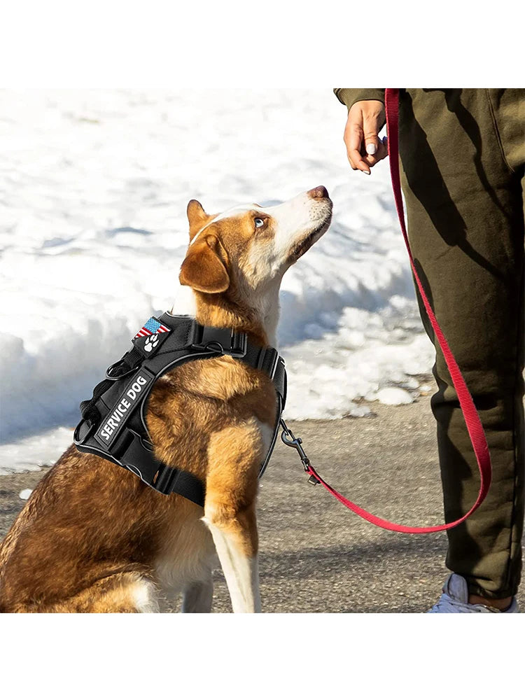 Reflective Dog Vest Harness with 5 PCS Patches Service Dog Harness Adjustable Soft Oxford Pet Harness