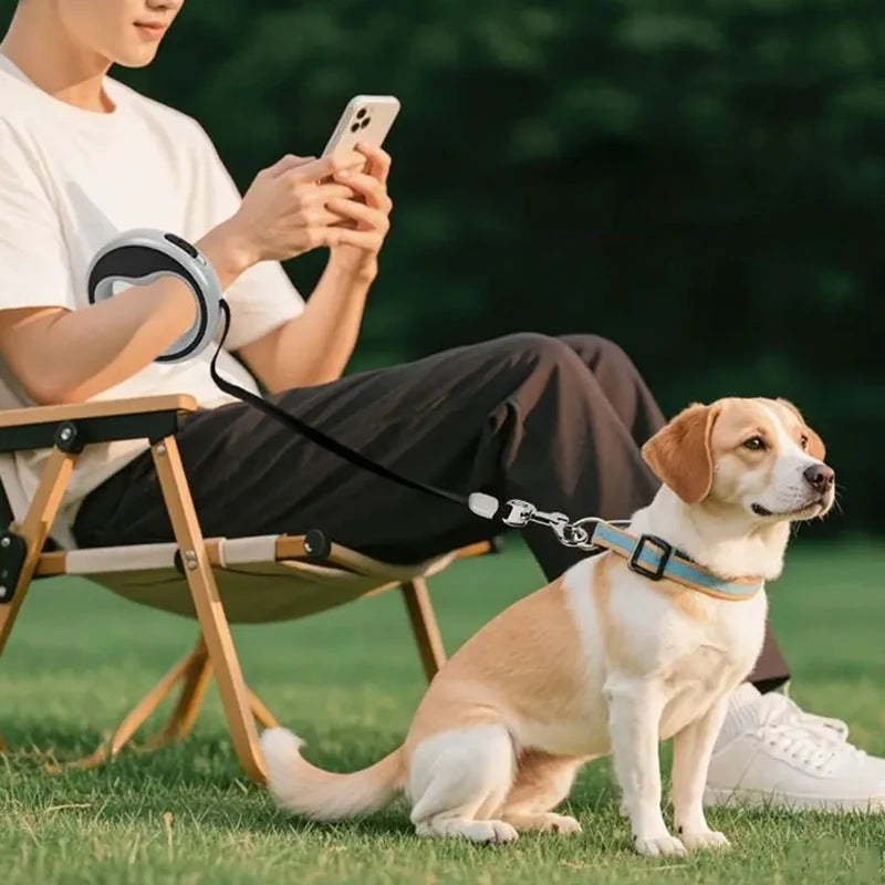 1 Piece 250cm/98.43in Automatic Retractable Dog Leash Outdoor Training Leash For Small Medium Dog Durable Puppy Lead Accessories