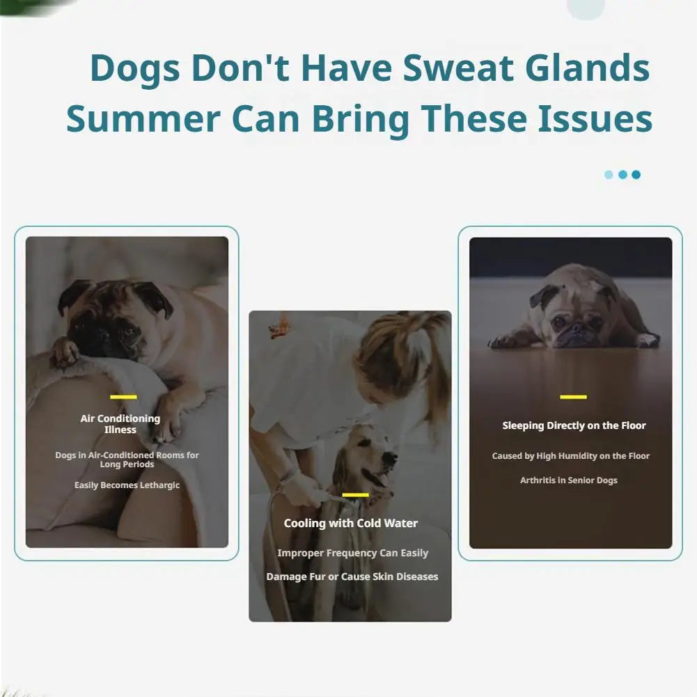 Summer Chill Pad Pet Ice Bed Mats Cushion Dogs Cats Summer Cooler Sleeping Pad Heat Relief Cooling Sponge Gel Pet Supplies