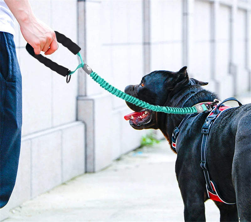 50cm Short Dog Leash Big Dog Training Leash Elastic Tactical Dog Lead Strong Short Traction Rope Durable Large Dog Leash Green