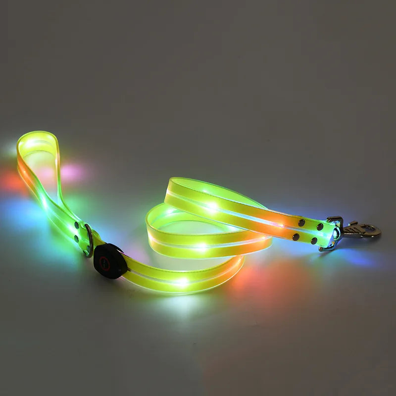 Pet Light-up Collar Leash LED Flashing Collar USB Charging Dog Walking Pulling Belt Adjustable Dog Collar Anti-Lost Pet Supplies