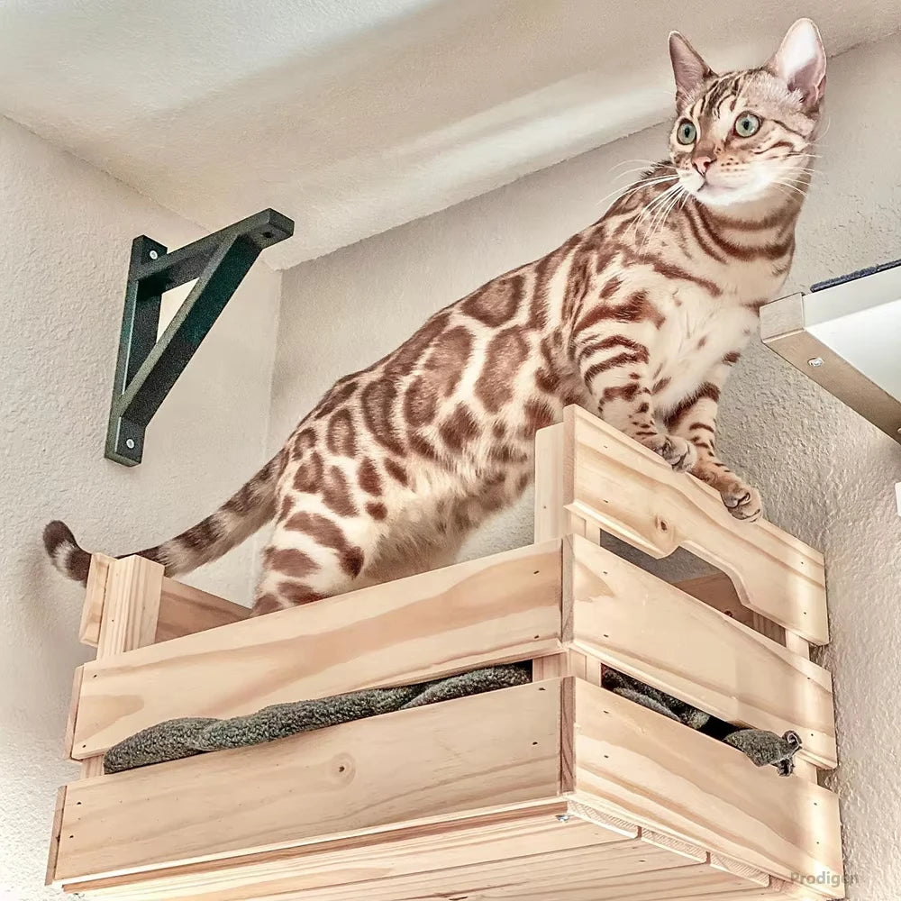 Wall mounted cat wooden basket wall cat bed cat tree modern cat wall solid wood furniture suitable for cats sleeping