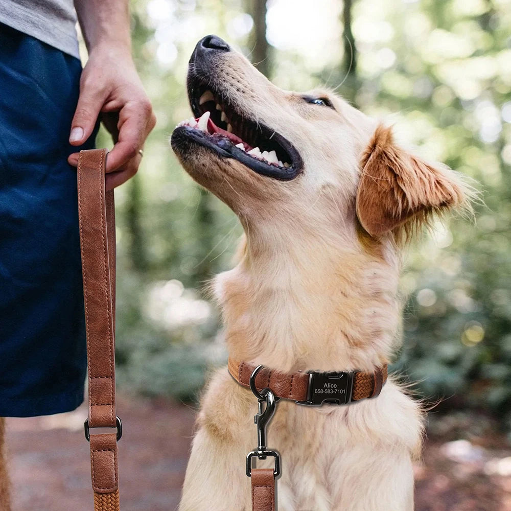Retro Dog Collar Leash Set Custom Nylon Dog Collars With Walking Lead Rope Adjustable Pet Necklace for Small Large Dogs Durable
