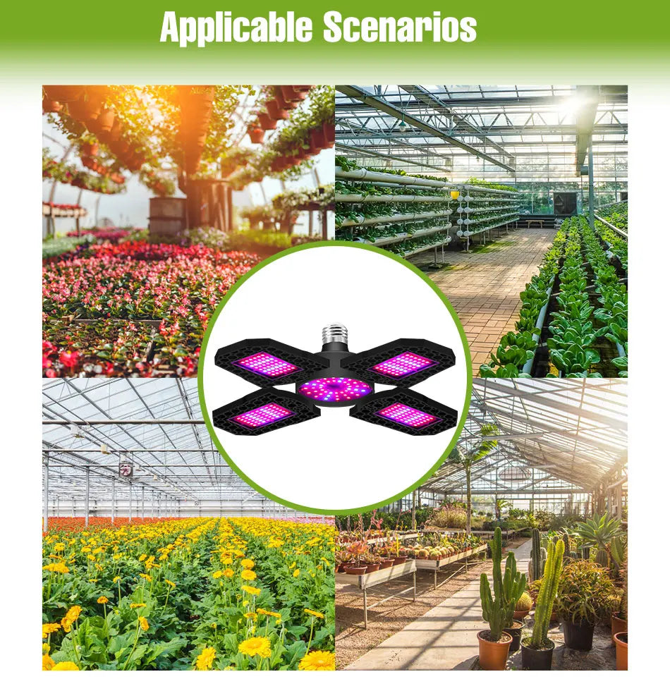 250W E27/E26 LED Growing Lamp Full Spectrum Foldable Plant Fill Lighting Vegetable Fruit Hydroponics Cultivation 100W/150W/200W