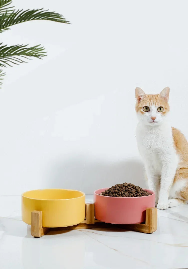 Self-Assembly Ceramic Double Cat Bowl Dog Bowl 400ML Pet Feeding Water Bowl Cat Puppy Feeder Product SuppliesFood Water Bowls