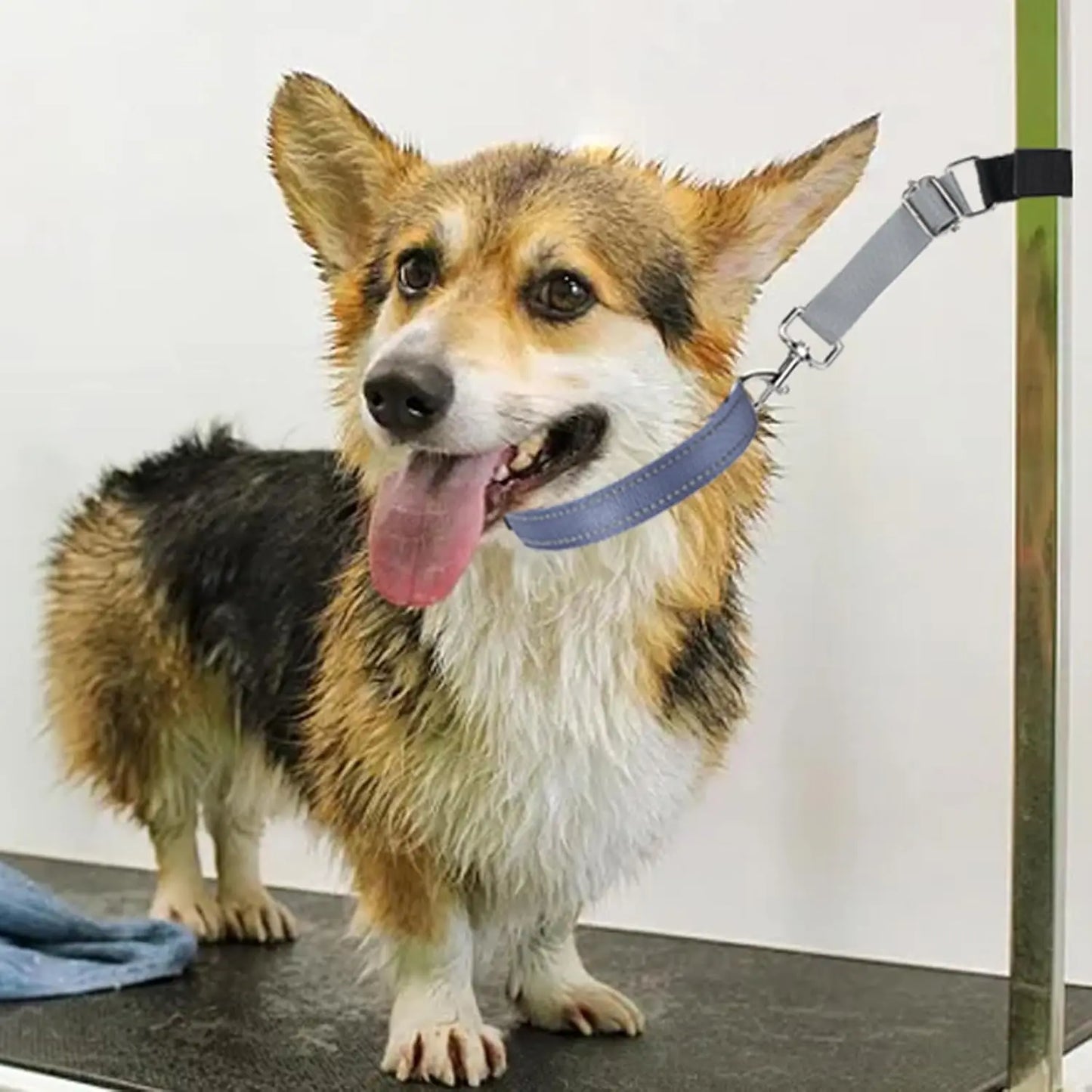 2 Pcs Pet Dog Grooming Basic Leashes Arm Accessories, Adjustable Pets Loops Extension Straps for Bathing Grooming Trimming