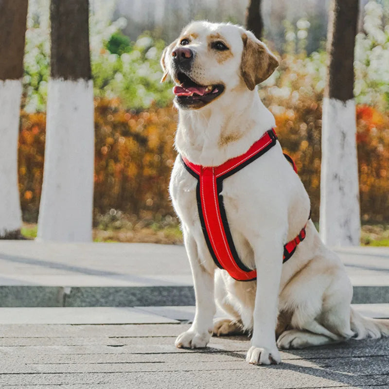 Heavy Duty Dog Harness with Front Clip No Pull Walking Vest for Large Dogs Adjustable Easy Control Handle Pet Training Gear