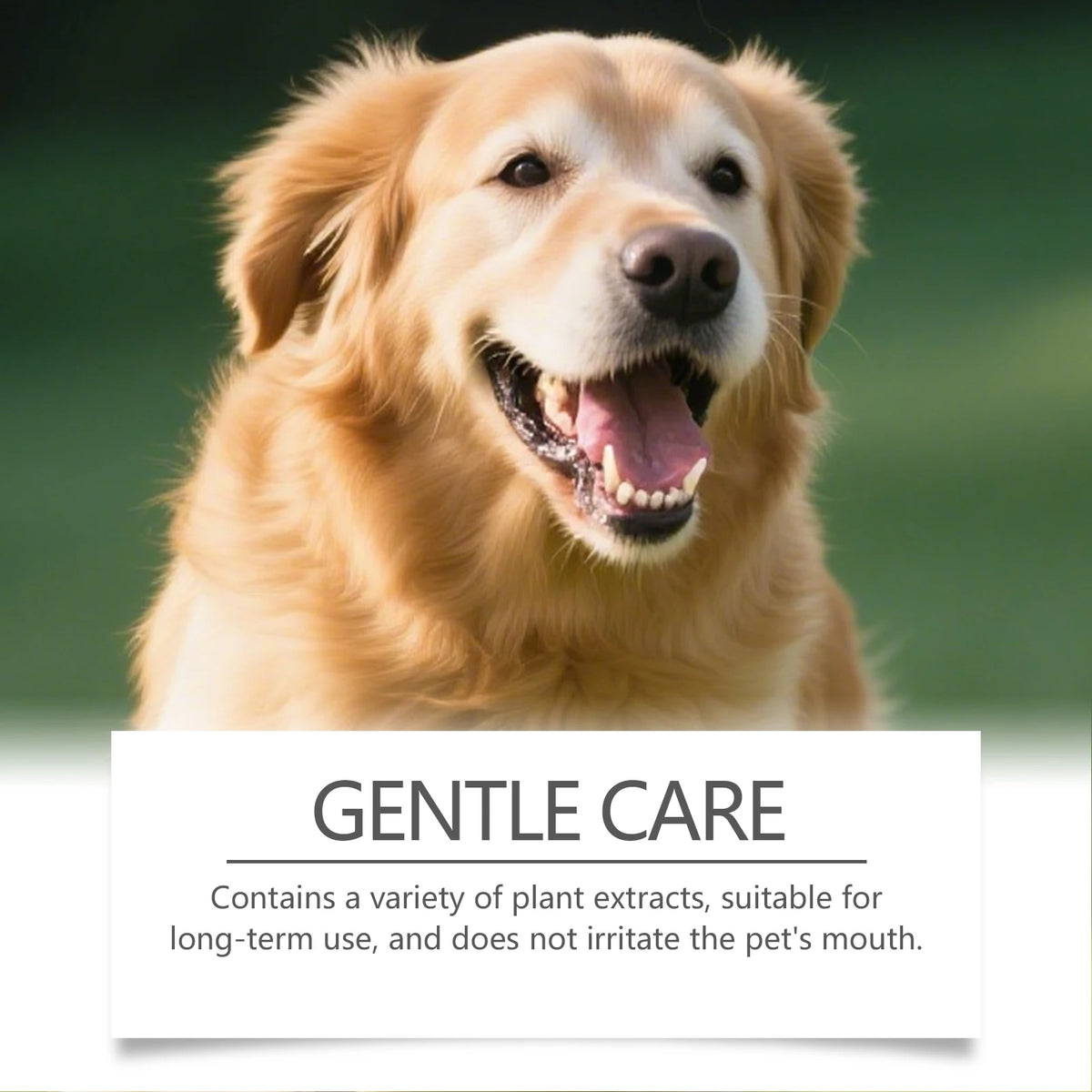 Pet Dental Powder for Dogs and Cats Reduces Tartar and Plaque Freshens Breath Improve Oral Odor Daily Pet Oral Hygiene Powder