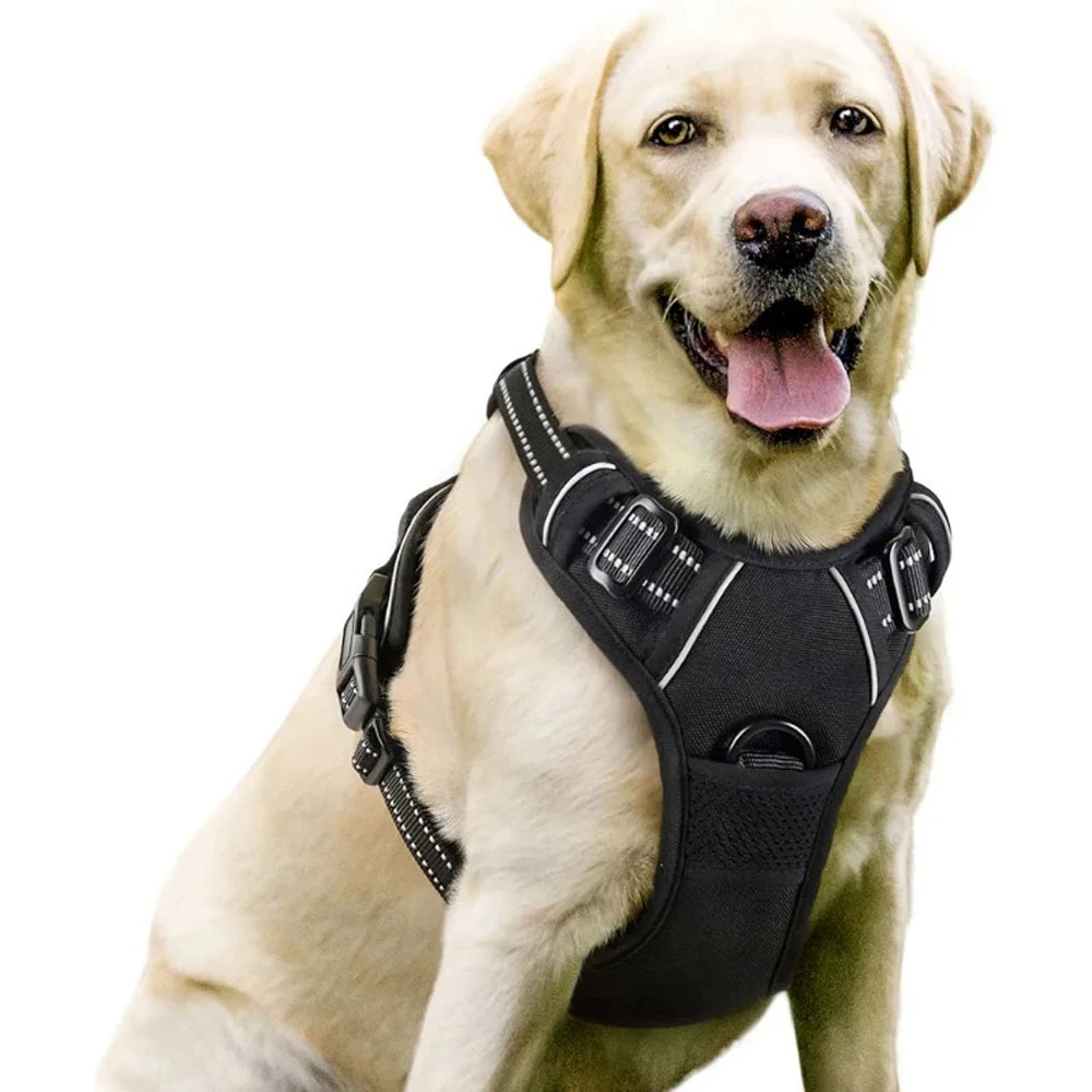 Dog Vest-Style Harness Leash, Pet Vest Leash, Four-Color Optional Nylon Material Dog Harness, Suitable for Medium and Large Dogs, Dog Harness Pet Supplies