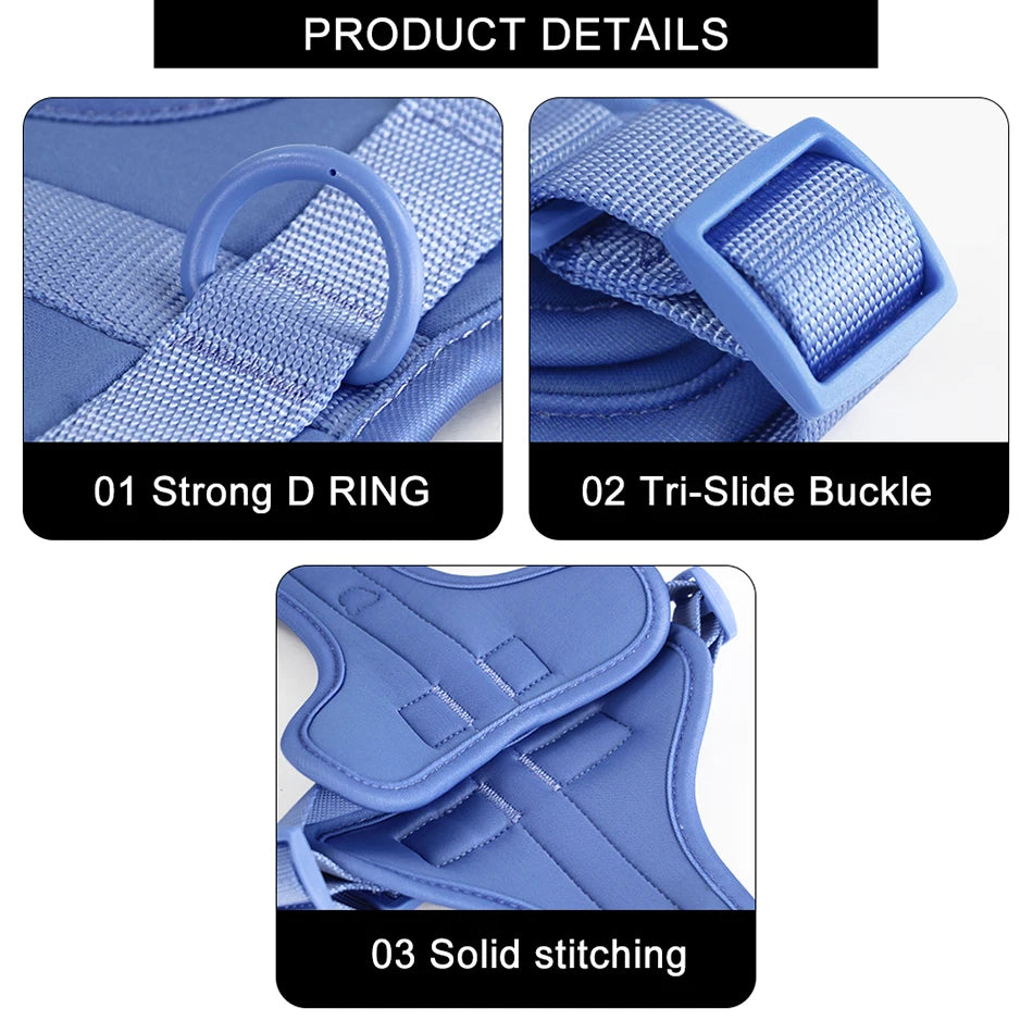 New Breathable Dog Harness Adjustable Chest Strap Outdoor Walk Leisure Harness for Small Dogs Medium Pet Accessories