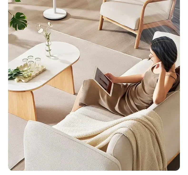 air circulation fan electric fan floor-standing high wind remote control timing household floor fan  air cooler