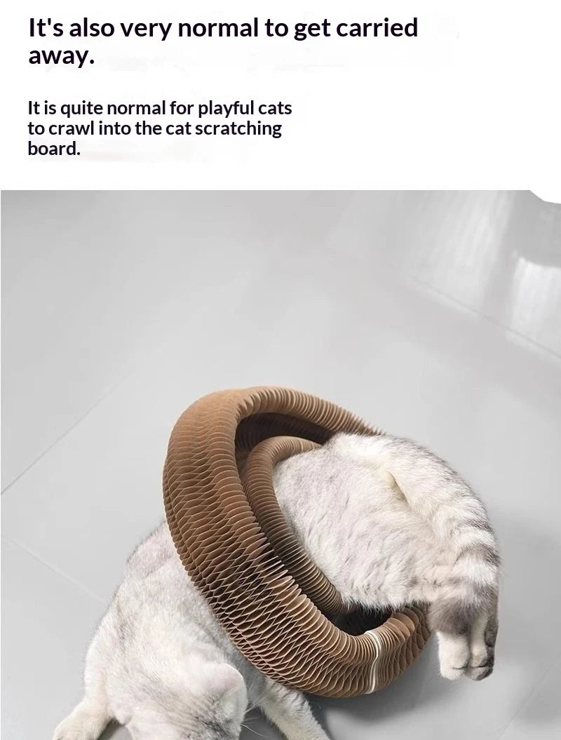 Magic Accordion Cat Scratching Board Nest,wear-resistant And Lint-free,cat Toy For Self-entertainment And Nail Scratching