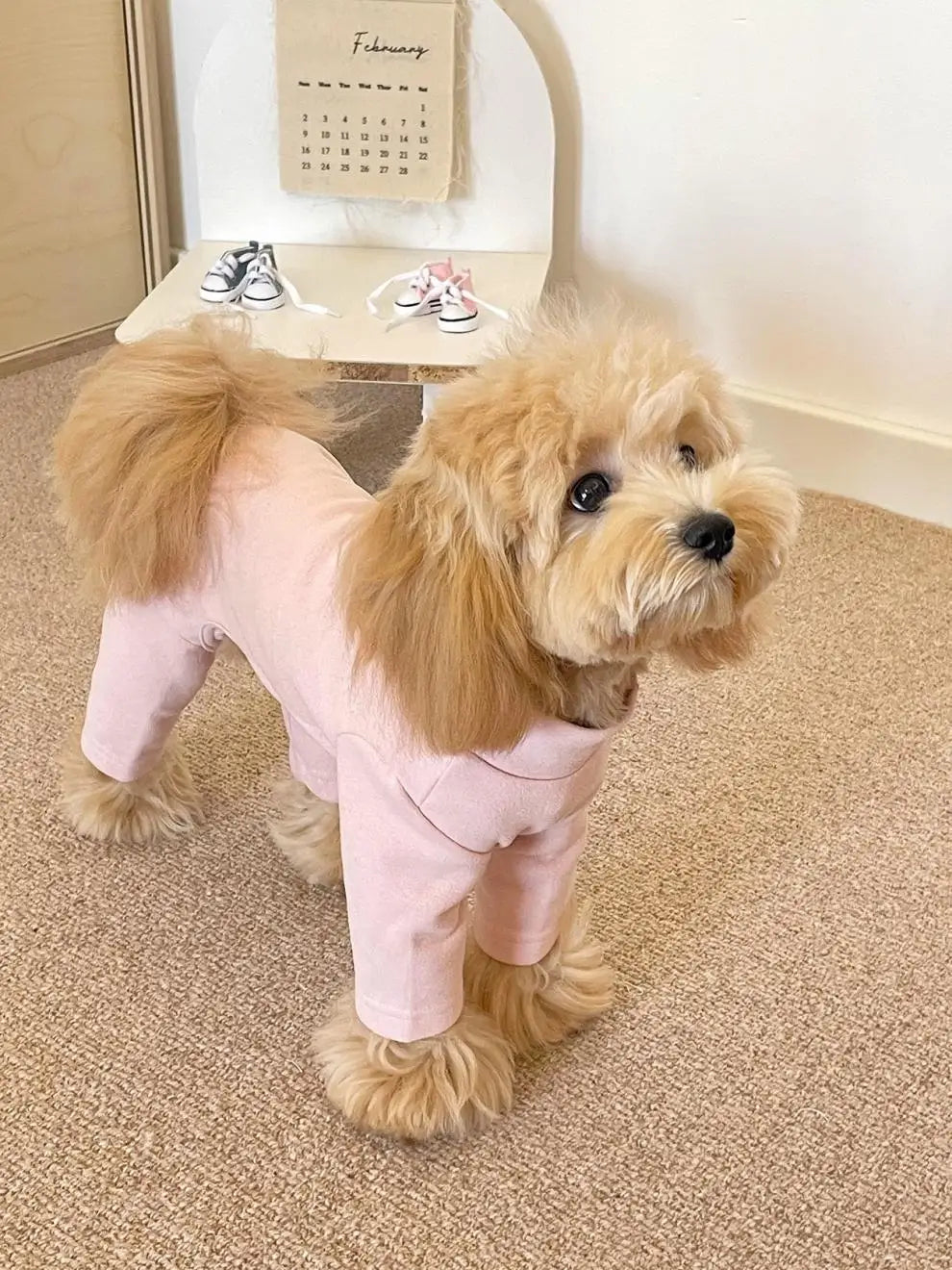 Elastic Pet Jumpsuit Four Legged Pants For Small Medium Dogs Cream Color Cozy Home Base Shirt Winter Warm Dog Clothes