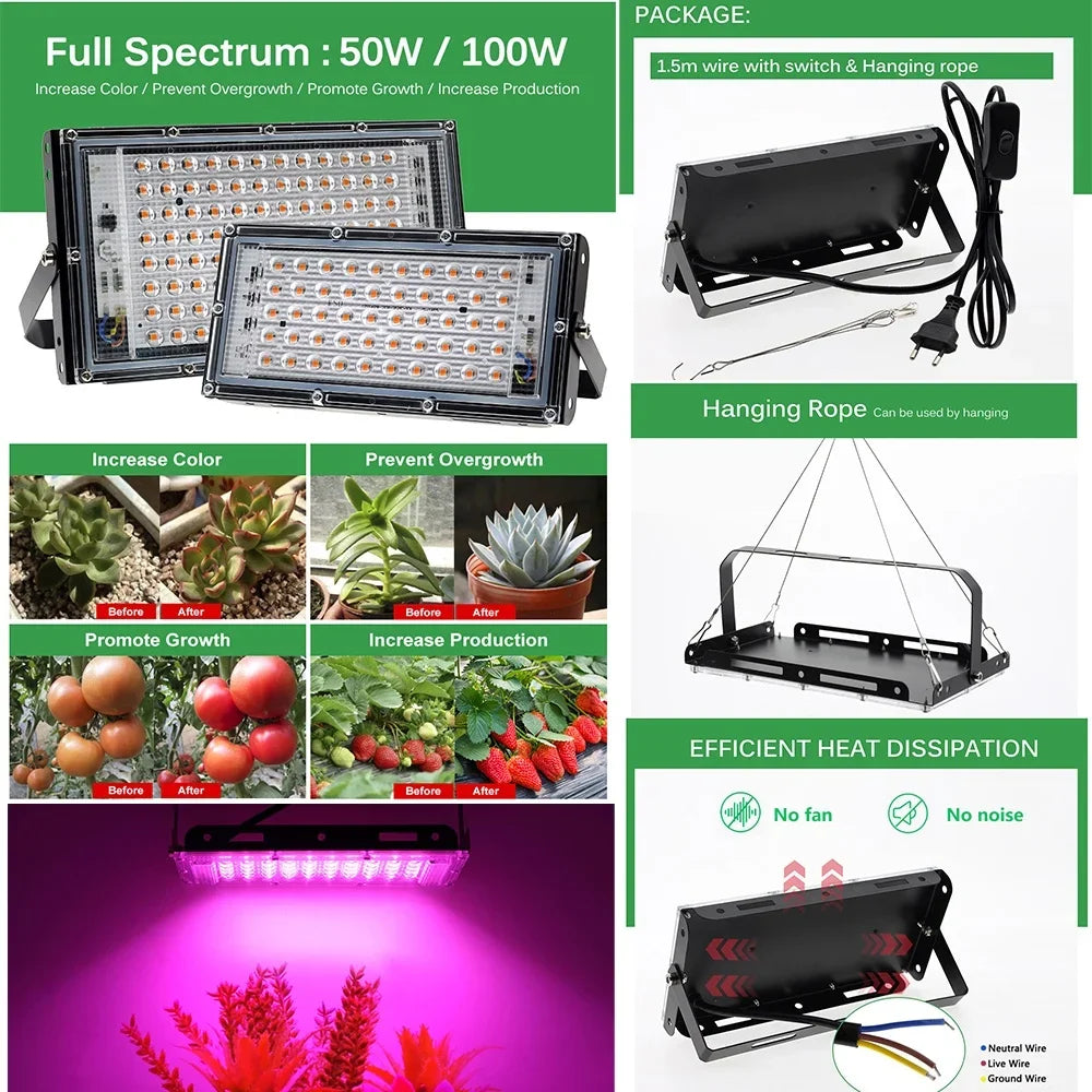 Full Spectrum LED Grow Lights 50/300W Plant Lamp Indoor Plants Phyto Lamp Greenhouse Hydroponic Plant Vegetable Growing Lamp