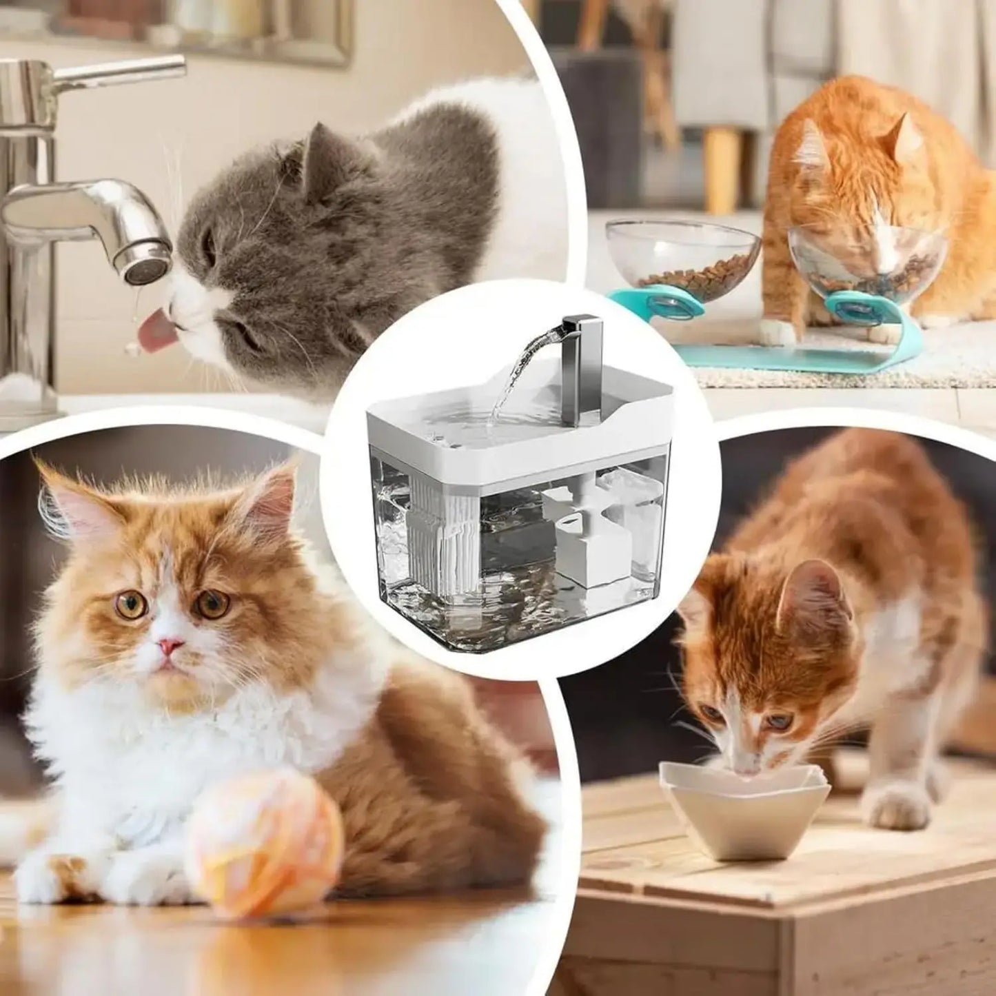 1.5L Cat Water Fountain USB Automatic Water Dispenser Live Circulation Filter Pet Drinker Quiet Pet Water Fountain Cat Small Pet