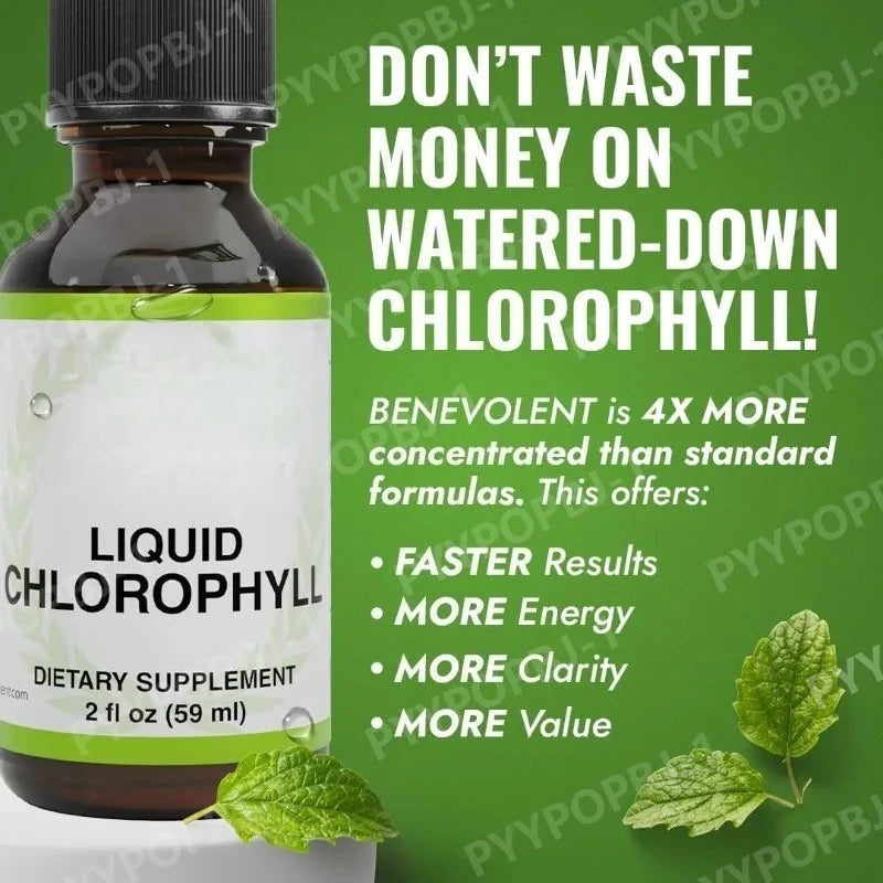 Mint Flavor Chlorophyll Liquid Chlorophyll Energy Supplement Natural Chlorophyll Deodorant Extra Strength Effective Sleep Aid