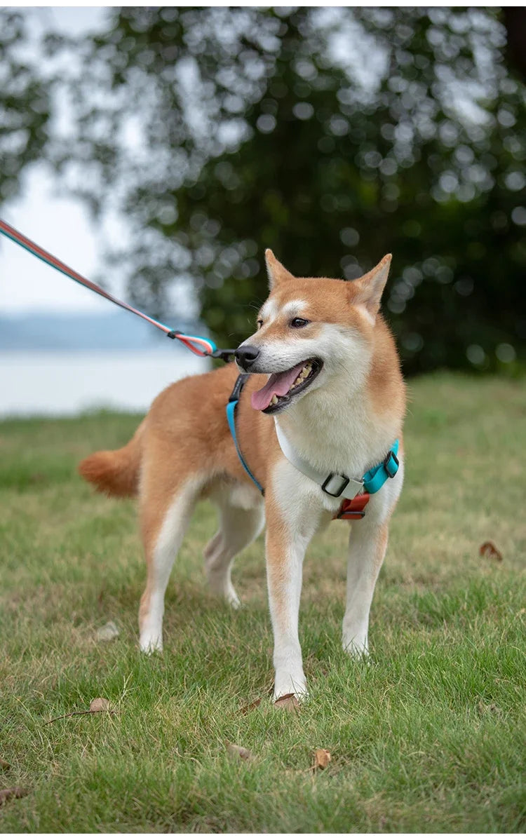Adjustable Nylon Dog Harness Fashion Chest Vest No Pull Pet Puppy Harness for Small Medium Large Dogs Corgi Dog Supplies