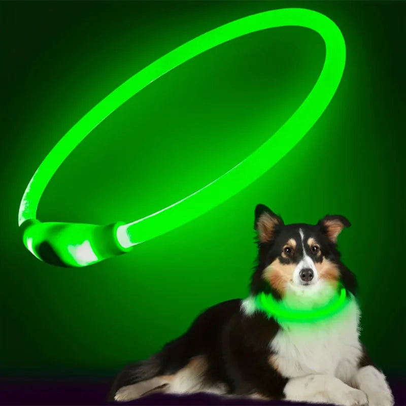 Led Luminous Dog Collar Rechargeable Cat Collar 3 Modes Anti-lost Night Collar Pet Supplies Suitable For Large Medium Small Dogs