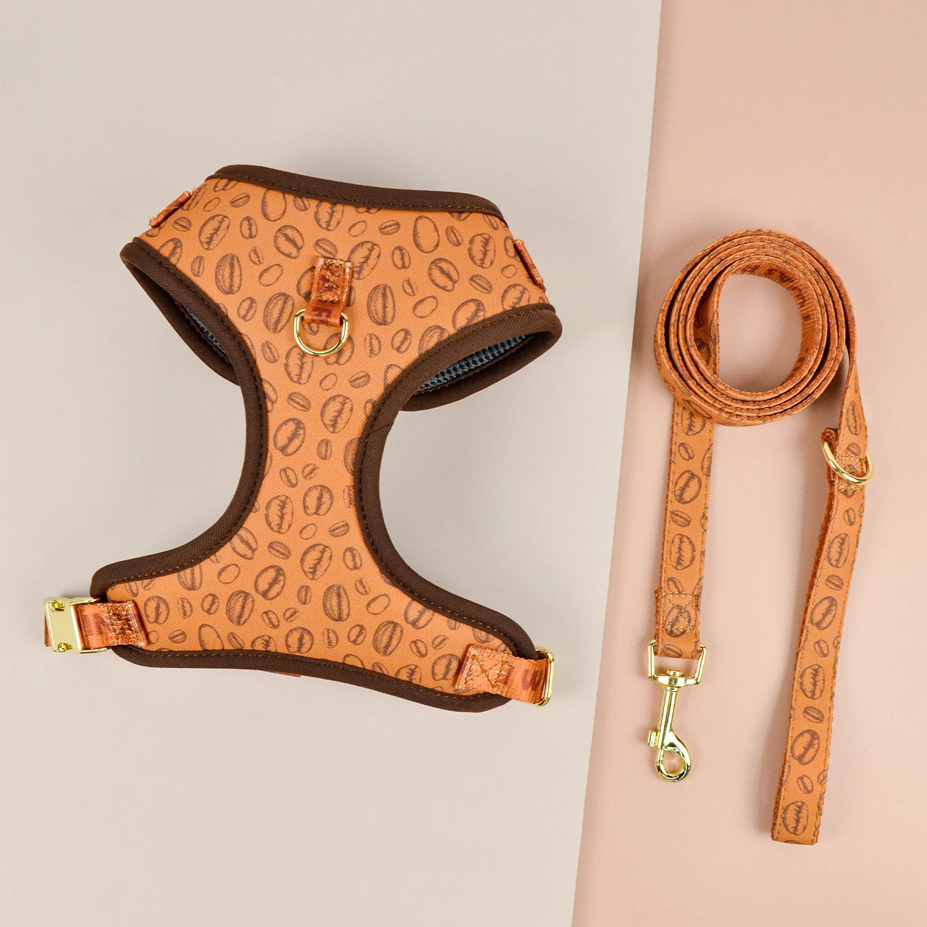 Valentine's Day and New Year's gift Cute Design Adjutable Luxury Designer Pet Harness &1 Pcs Color Matching Pet Dog Leashes