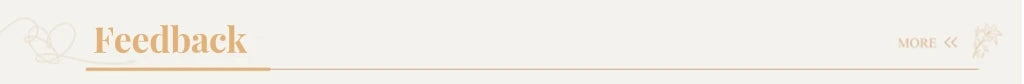 Elegant Classic Sexy Wedding Dresses Cap Sleeve V-Neck Lace Bridal Dress A Line Court Train Gown New Vestido De Novia Customized