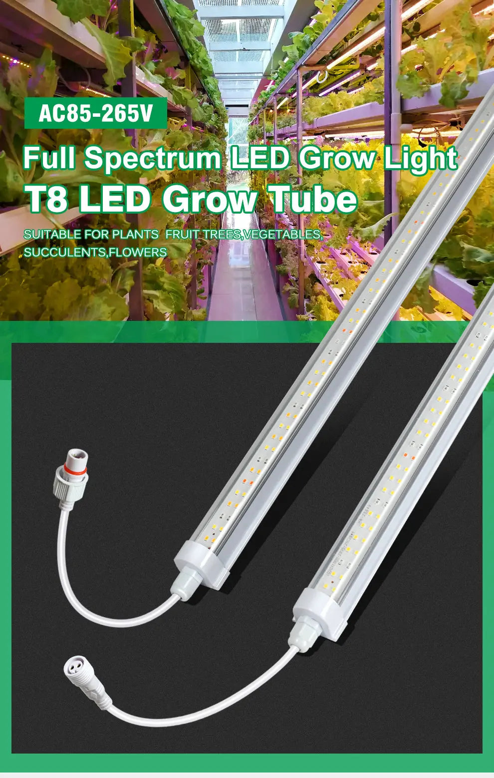 AC85- 265V SMD 2835 Chip T8 Full Spectrum LED Grow Tube Suitable for Plants Fruit Trees Succulents Veg and Bloom LED Grow Light