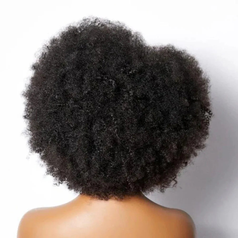 13x5x2 Side T Part Lace Wigs Afro Kinky Curly Short Bob Wig Human Hair Wigs 14 Inch Short Curly Afro Wigs for Woman 250 Density