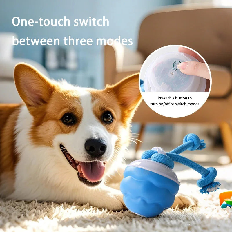 Smart Dog Toy Ball Electronic Interactive Pet Toy Moving Ball Rope USB Automatic Moving Bouncing for Puppy Chew Products
