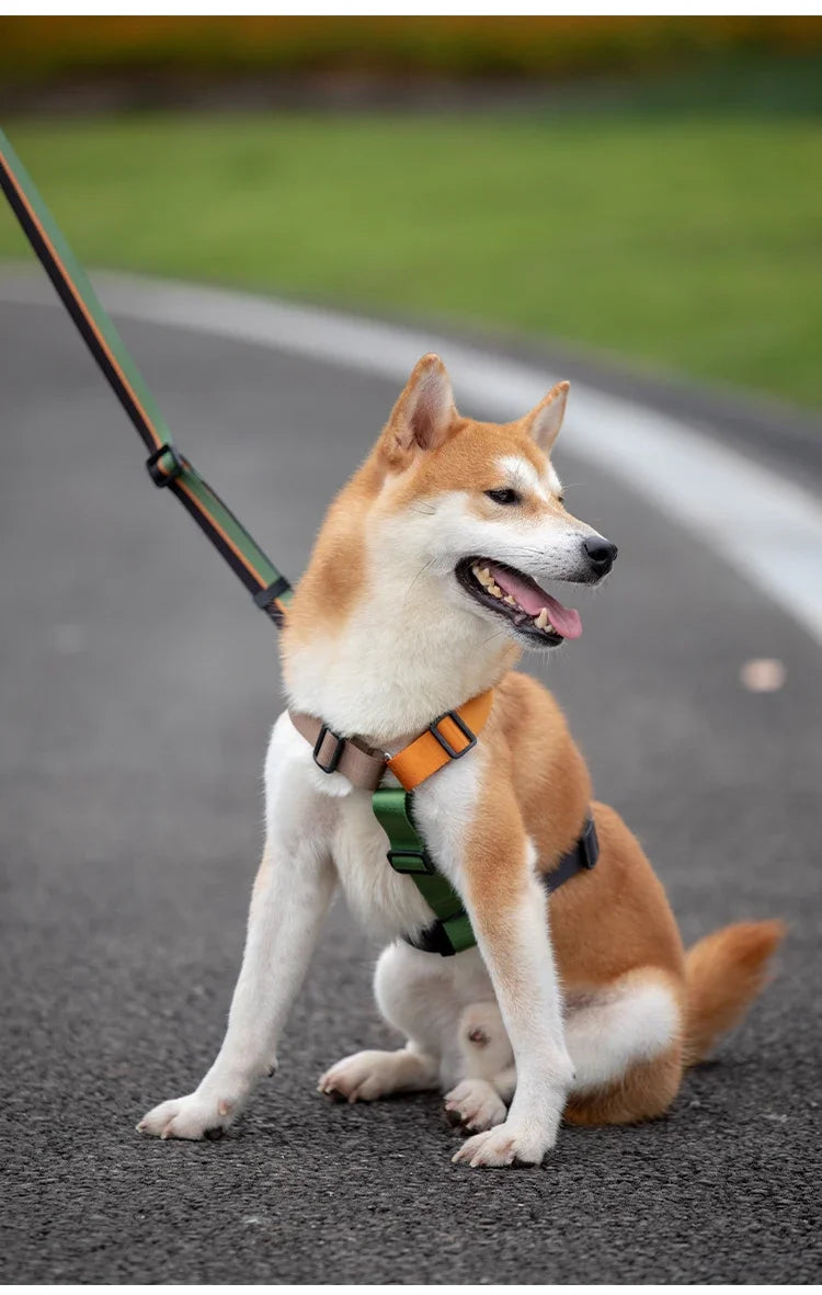 Adjustable Nylon Dog Harness Fashion Chest Vest No Pull Pet Puppy Harness for Small Medium Large Dogs Corgi Dog Supplies