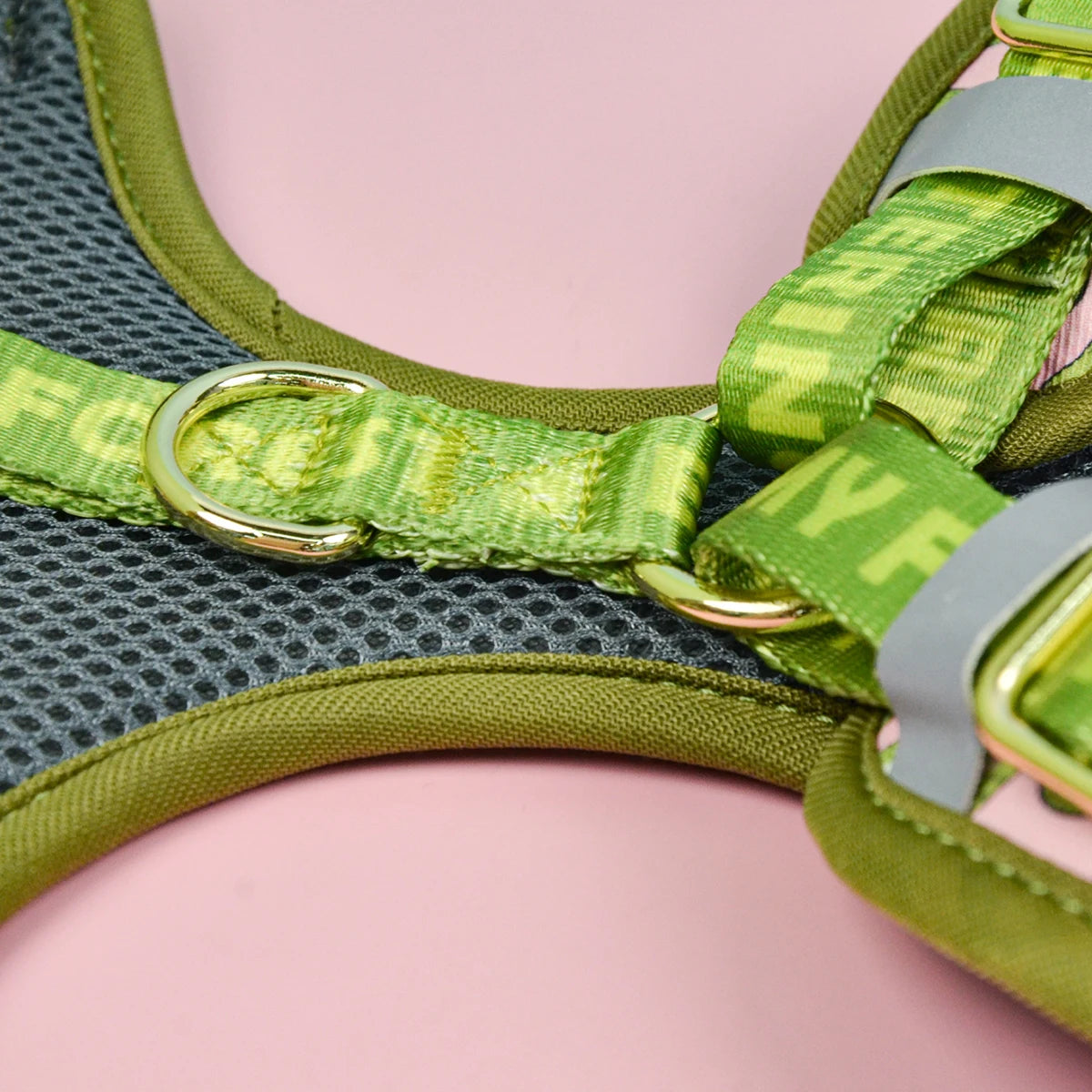 Valentine's Day and New Year's gift Cute Design Adjutable Luxury Designer Pet Harness &1 Pcs Color Matching Pet Dog Leashes