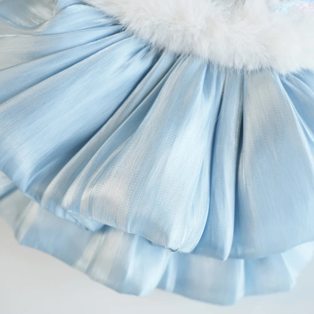 Pet Flannel Dress Rabbit Butterfly Tang Dress Princess New Year Small Medium Dog Coat Puppy Clothes Chinese Style Pet Skirt