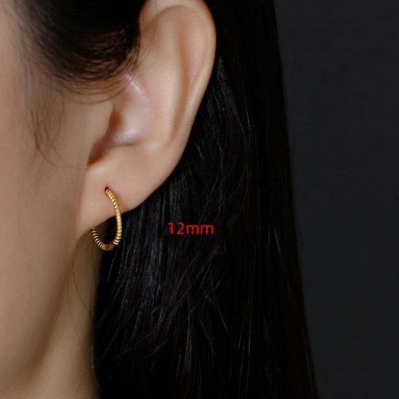 Real 925 Sterling Silver Twisted Rope Shape Hoop Earrings for Women Minimalist Fine Jewelry Light Luxury Accessories