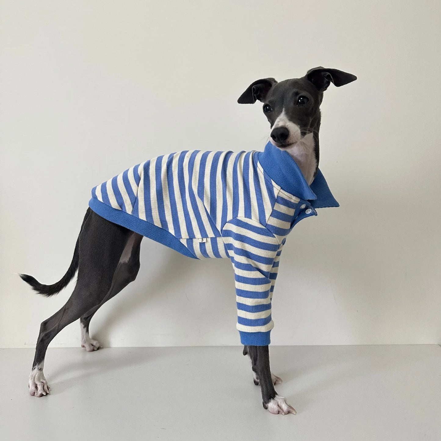 Pet POLO shirt pure cotton fabric stretch Italian Greyhound Whippet Bedlington Terrier dog clothes