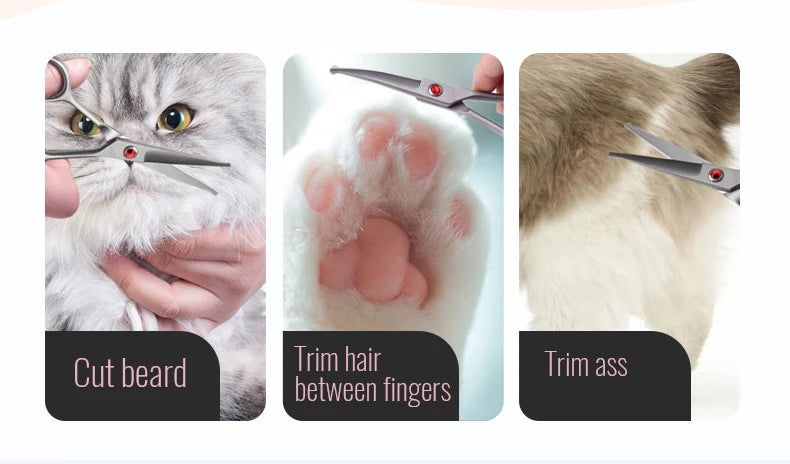 Fenice 4.5 Safety Round Tip Pet Dog Cat Grooming Cutting Scissors Dogs Hair Cutting Shear for Eyes/Face/Foot/Nose