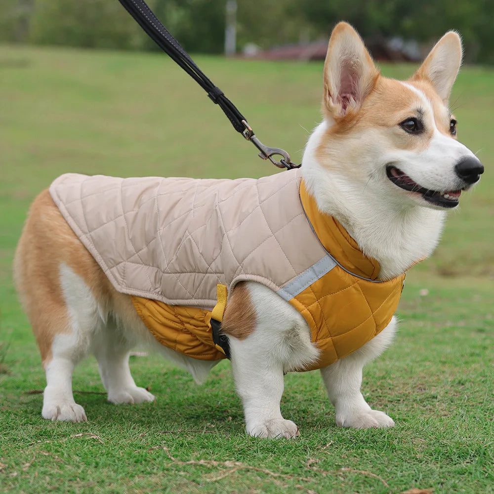 New Winter Pet Dog Clothes Thickened Fighting Dog Clothes Reflective Dog Cotton Clothes Pet Clothes