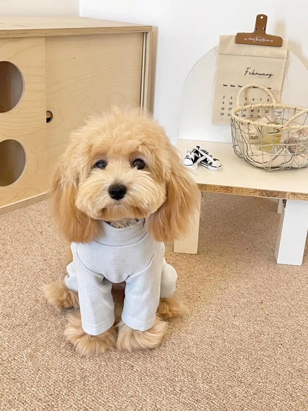 Elastic Pet Jumpsuit Four Legged Pants For Small Medium Dogs Cream Color Cozy Home Base Shirt Winter Warm Dog Clothes