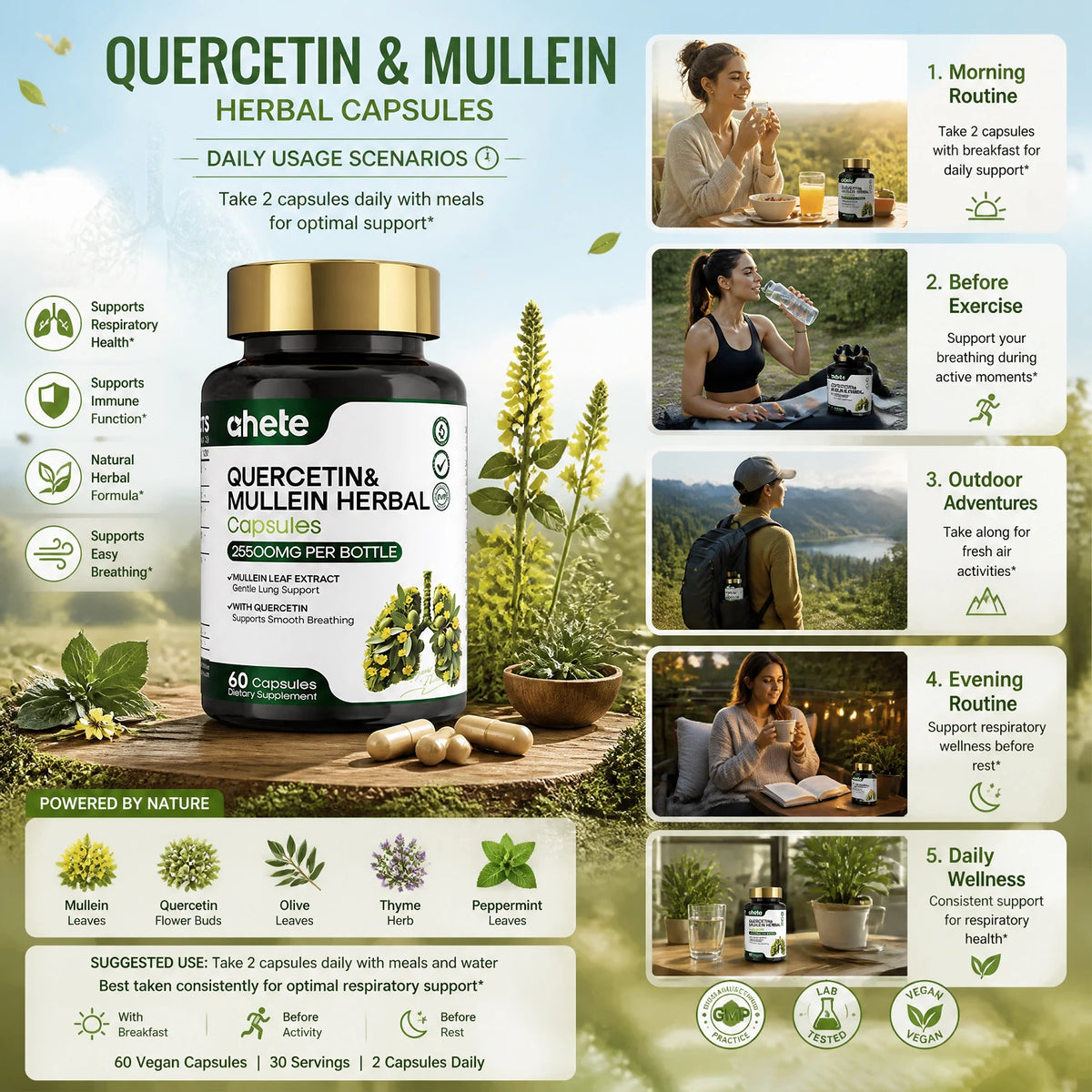 AHETE Mullein Leaf & Quercetin Capsules - High Potency Mullein And Quercetin, Lung Support Formula. Supports Respiratory Health.